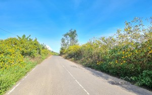 KDC PONGOUR CITY – ĐÀ LẠT