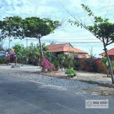 CẦN BÁN FULL DỰ ÁN BIỆT THỰ BIỂN Phan Thiết: 15,000m2 