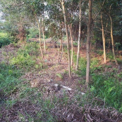 ĐẤT NỀN CỦ CHI TRÊN 2000 M2 CHÍNH CHỦ