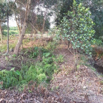 ĐẤT NỀN CỦ CHI TRÊN 2000 M2 CHÍNH CHỦ