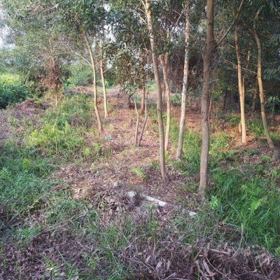 ĐẤT NỀN CỦ CHI TRÊN 2000 M2 CHÍNH CHỦ