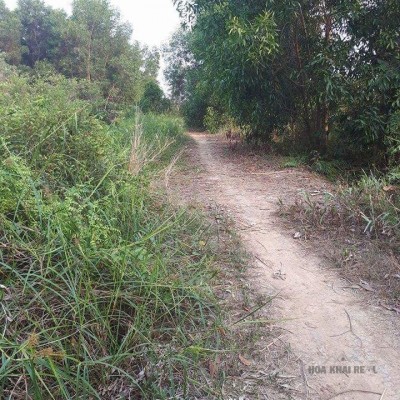 ĐẤT NỀN CỦ CHI TRÊN 2000 M2 CHÍNH CHỦ