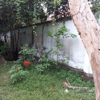 ĐẤT LỚN CỦ CHI PHÂN LÔ BÁN NỀN, XÂY DỰNG NHÀ PHỐ, ĐẦU TƯ