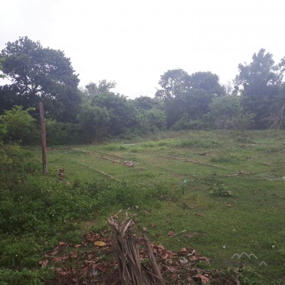 ĐẤT LỚN CỦ CHI PHÂN LÔ BÁN NỀN, XÂY DỰNG NHÀ PHỐ, ĐẦU TƯ