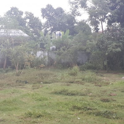 ĐẤT LỚN CỦ CHI PHÂN LÔ BÁN NỀN, XÂY DỰNG NHÀ PHỐ, ĐẦU TƯ