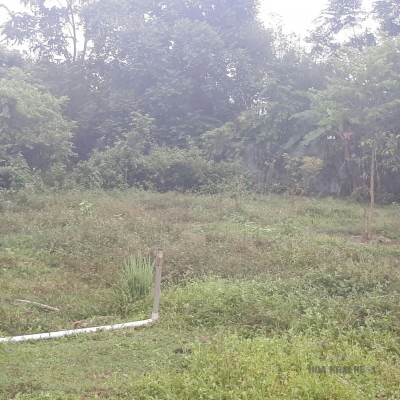 ĐẤT LỚN CỦ CHI PHÂN LÔ BÁN NỀN, XÂY DỰNG NHÀ PHỐ, ĐẦU TƯ