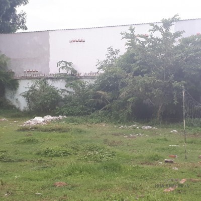 ĐẤT LỚN CỦ CHI PHÂN LÔ BÁN NỀN, XÂY DỰNG NHÀ PHỐ, ĐẦU TƯ