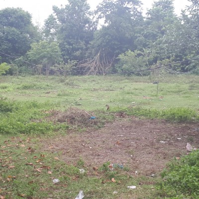 ĐẤT LỚN CỦ CHI PHÂN LÔ BÁN NỀN, XÂY DỰNG NHÀ PHỐ, ĐẦU TƯ