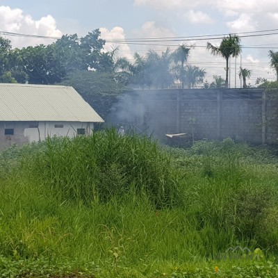 ĐẤT LỚN ĐANG KINH DOANH TỐT Ở BẾN LỨC