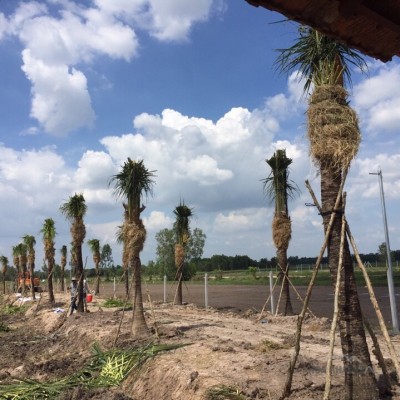 Bán dự án KDL Sinh Thái ở phước hiệp, Củ Chi. 