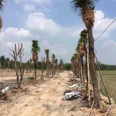 Bán dự án KDL Sinh Thái ở phước hiệp, Củ Chi. 