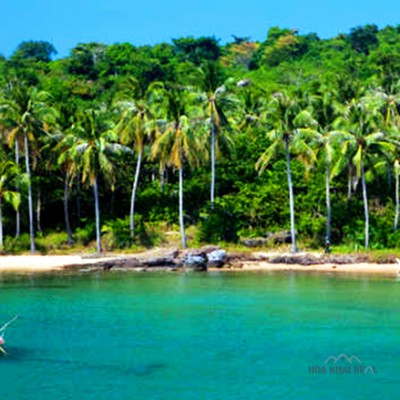 BÁN, CHUYỂN NHƯỢNG DỰ ÁN ĐẢO HÒN DỪA