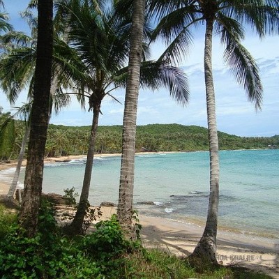 BÁN, CHUYỂN NHƯỢNG DỰ ÁN ĐẢO HÒN DỪA