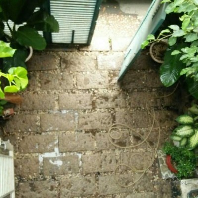 Nhà Đường Bùi Văn Ngữ -  Gần chợ Bà Bầu