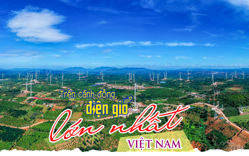 Trên cánh đồng điện gió lớn nhất Việt Nam