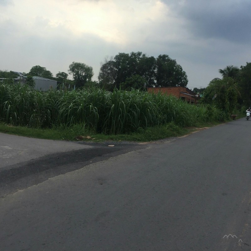 Đất Nền Chính Chủ - Tân Thông Hội - 1904m2