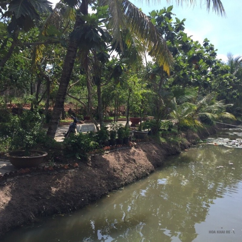 Bán dự án KDL Sinh Thái ở phước hiệp, Củ Chi. 