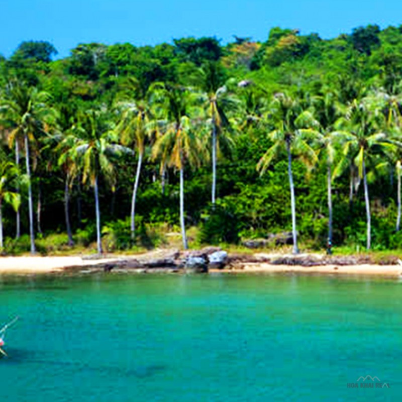 BÁN, CHUYỂN NHƯỢNG DỰ ÁN ĐẢO HÒN DỪA